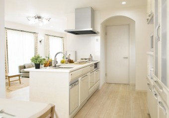 タカラプラン SK007956